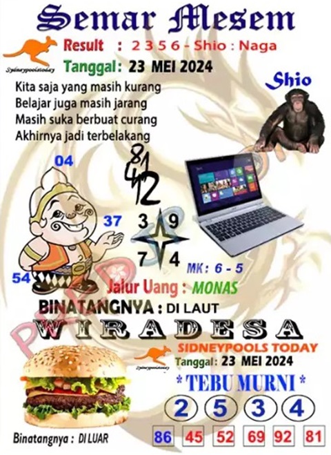 SYAIR SDY VIP